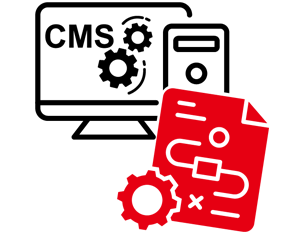 Customized Service Provision